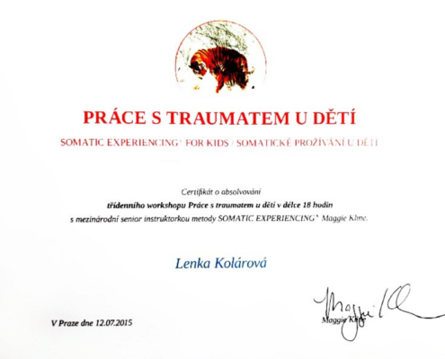 Lenka Kolárová Práce s traumatem u dětí certifikát