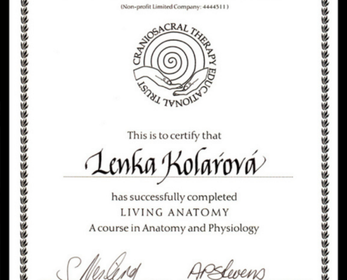 Lenka Kolárová Living Anatomy certifikát