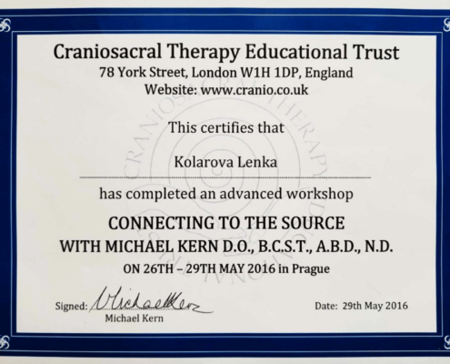 Lenka Kolárová Connecting to the source certifikát